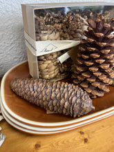 Load image into Gallery viewer, 2&quot; Resin Pinecone
